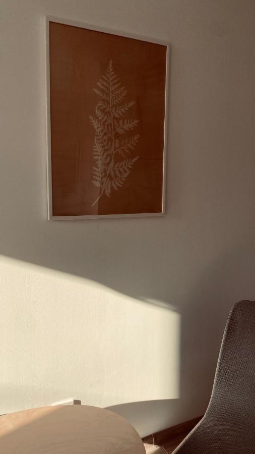 Apartament Vintage Мронгово Экстерьер фото